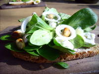 Brot mit Feldsalat