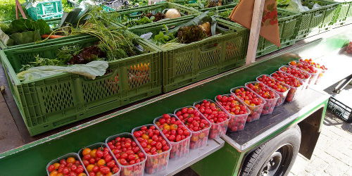 Gemüsekistenpacken Tomatenschalen